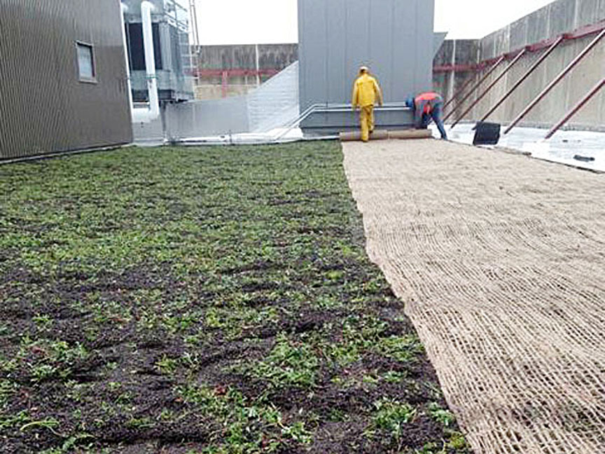 Green roof installed by Shaffer at the Barclay Damon tower, downtown Syracuse
