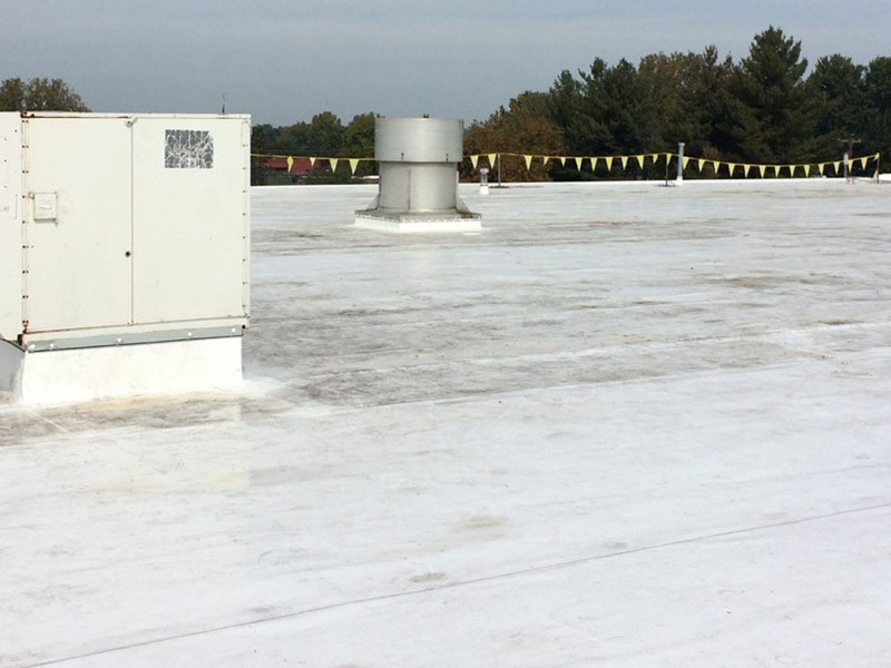 Budweiser plant roof after