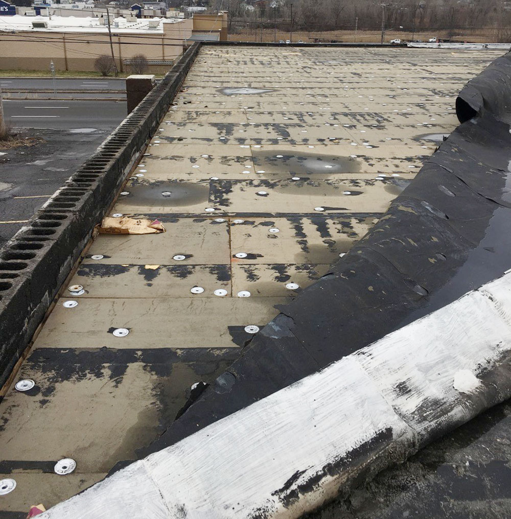 Hydro Tech before