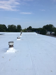 Duke's Root Control roof