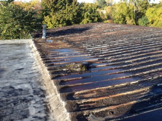 Duke's Root Control roof