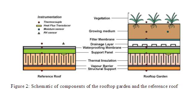 Diagram of how a green roof slows rain runoff